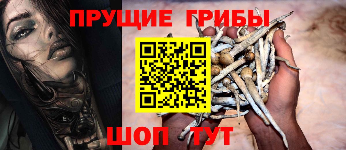 Ачхой-Мартан  Галлюциногенные грибы Psilocybine cubensis  Галлюциногенные грибы мухоморы  Вход с VPN 